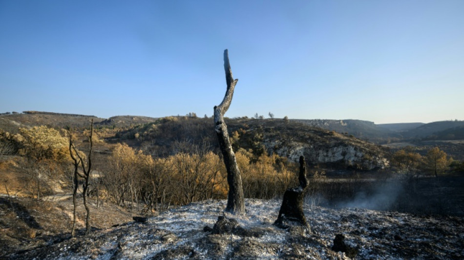 Massive French wildfire contained but 'not under control'