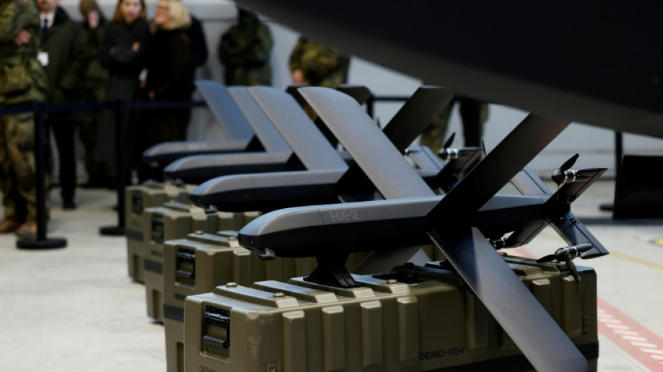 Von Notz kritisiert Gesetzes&auml;nderung zum Drohnenabschuss: Keine Verbesserungen