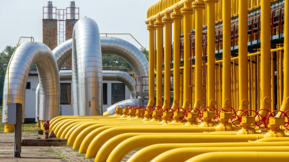 Mehrheit der EU-L&auml;nder f&uuml;r Ausstieg aus russischem Gas bis Ende 2027