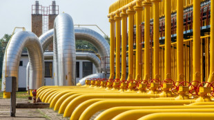 Mehrheit der EU-L&auml;nder f&uuml;r Ausstieg aus russischem Gas bis Ende 2027