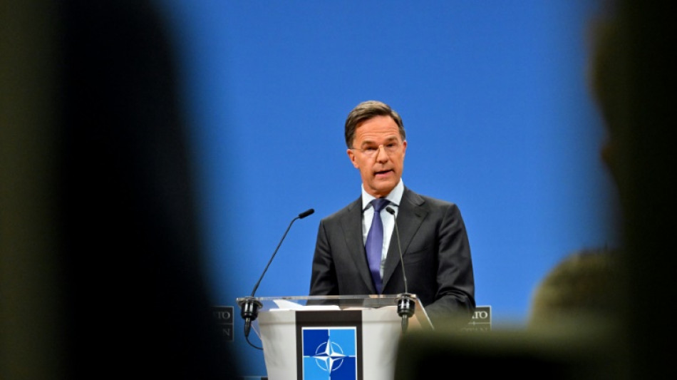 L'Otan peut-elle satisfaire Trump sur le niveau de ses d&eacute;penses?