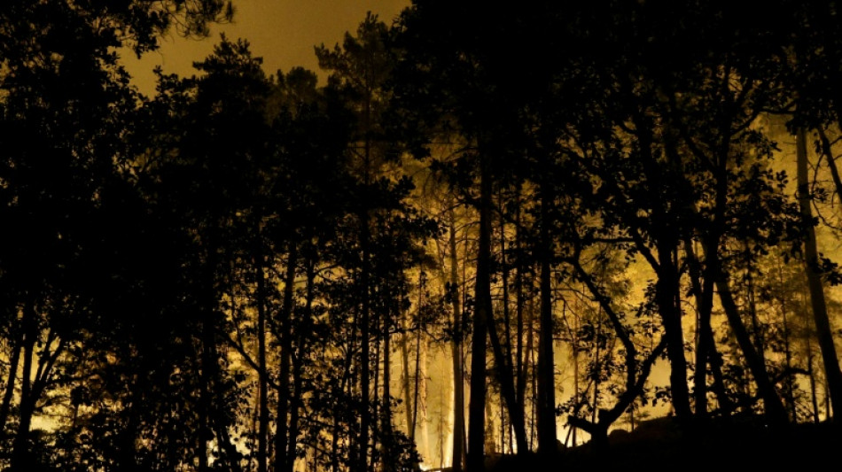 Un incendio arrasa el bosque de Fontainebleau, cerca de Par&iacute;s