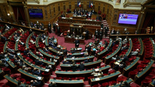 Le budget au S&eacute;nat, derni&egrave;res heures apais&eacute;es pour un gouvernement en sursis