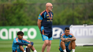 Master and apprentice as Spain, Argentina coaches meet in World Cup final