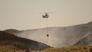 Los evacuados pueden volver a casa tras la estabilizaci&oacute;n del mort&iacute;fero incendio en el sur de Espa&ntilde;a