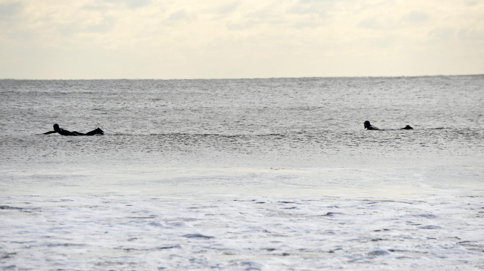 Avvistati squali, chiusure in una popolare spiaggia di New York