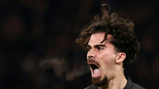 Ligue des champions: le PSG dompte Tottenham malgré les mauvais tours de Kolo Muani