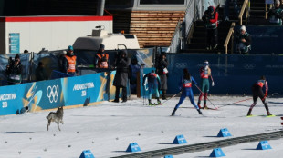 Dog gives Olympics organisers paws for thought