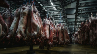 Alimentation: le march&eacute; de Rungis veut s'&eacute;tendre au nord de Paris