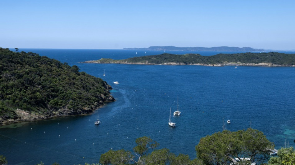 A Port-Cros, la plus vieille aire marine prot&eacute;g&eacute;e d'Europe "montre le futur"