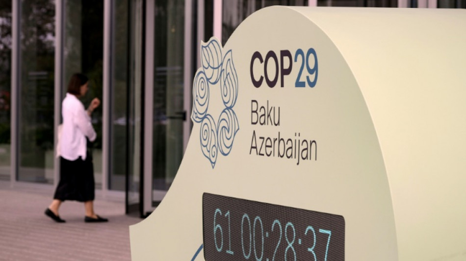 Quantum, NCQG, cebolla... la jerga de la COP29 en Bak&uacute;