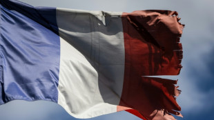 La econom&iacute;a de Francia "se descuelga" antes de incierto a&ntilde;o electoral
