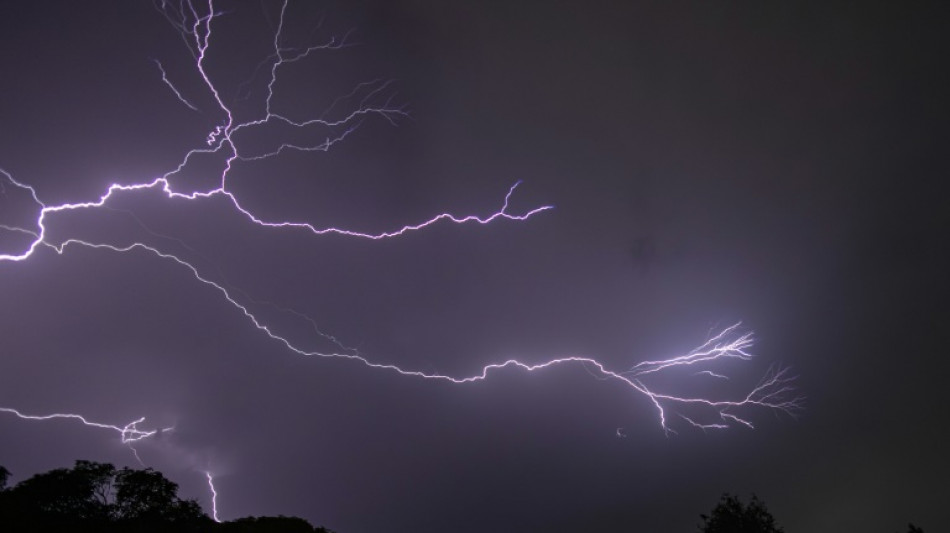 Orages: 28 d&eacute;partements en vigilance orange, une femme tu&eacute;e par une chute d'arbre