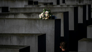Attaque du M&eacute;morial berlinois de l'Holocauste: un jeune Syrien fix&eacute; sur son sort jeudi