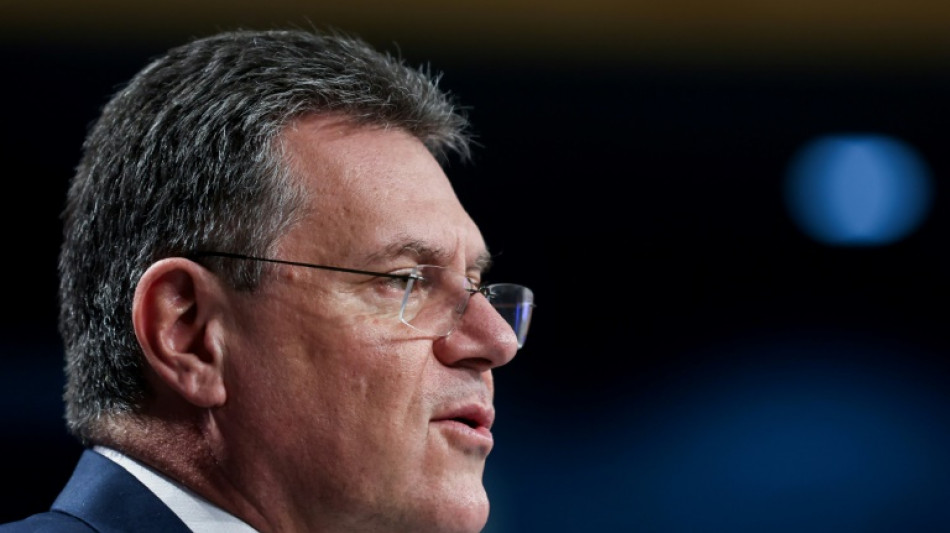 EU-Kommissionsvize verspricht Einsatz f&uuml;r Klimaziele