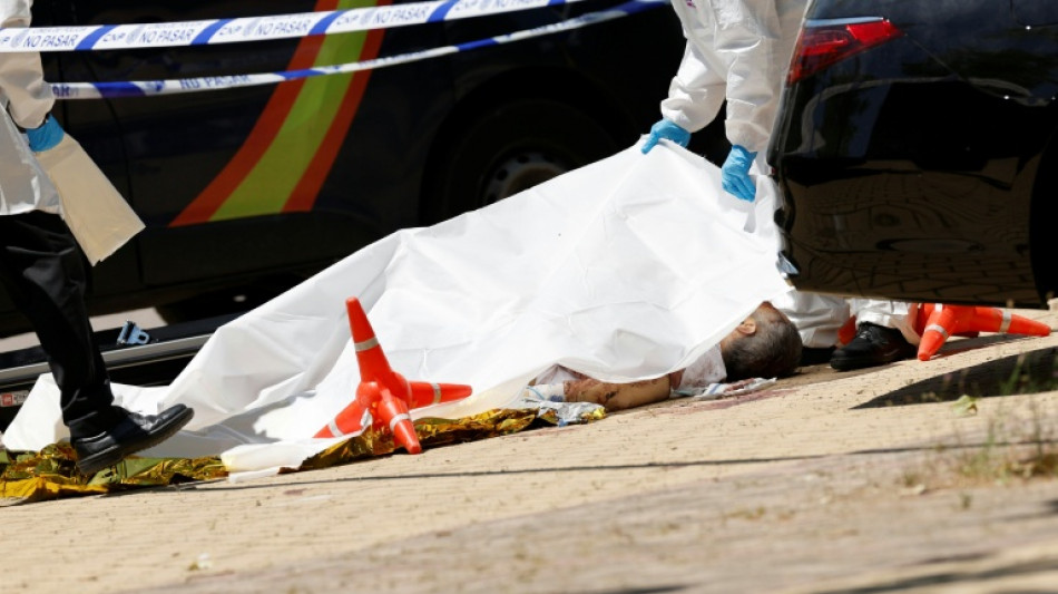 Abatido a tiros cerca de Madrid un exdiputado ucraniano pr&oacute;ximo a Rusia