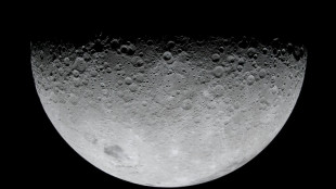 Apr&egrave;s leur tour de Lune, les astronautes d'Art&eacute;mis se rapprochent du retour