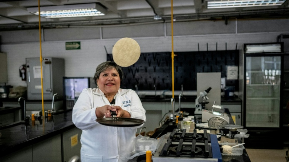 Desarrollan en México una tortilla contra la desnutrición y falta de neveras
