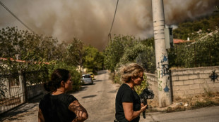 Los incendios en Grecia este verano dejar&aacute;n m&aacute;s de 150.000 hect&aacute;reas quemadas