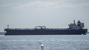 Ue, 'contatti ad alto livello con Usa su scorte petrolio e diesel'