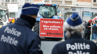 Deficiencias en la trazabilidad de exportaciones brasile&ntilde;as de carne de vacuno a la UE