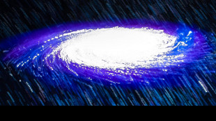 Dalle onde gravitazionali i buchi neri di seconda generazione