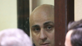 Europ&auml;ische L&auml;nder prangern Repressionen gegen Oppositionelle in Georgien an