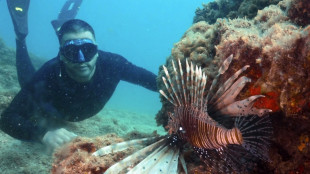 El Mediterr&aacute;neo sube de temperatura y avanza hacia la "tropicalizaci&oacute;n"