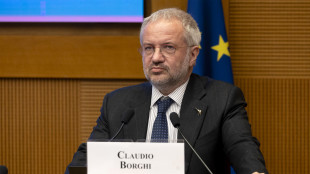 Borghi (Lega), 'nessuna decisione sul Safe, si esprimer&agrave; il Parlamento'
