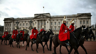 Cuatro heridos por caballos del ej&eacute;rcito que se escaparon en el centro de Londres