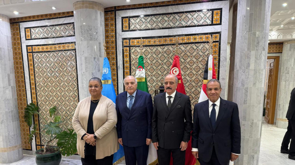 Egitto, Algeria e Tunisia, 'pronti a consultarci con diversi leader libici'