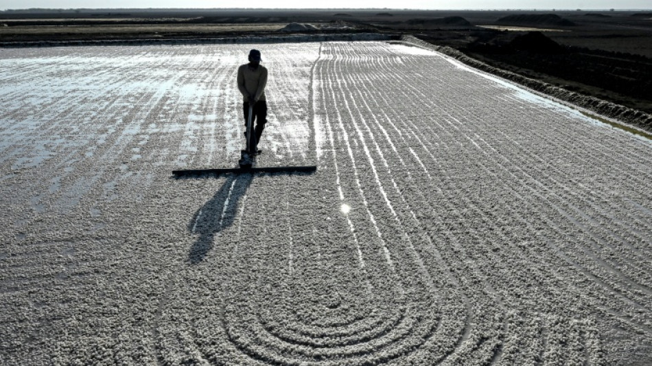 No trees, no fans: surviving extreme heat in India's salt pans