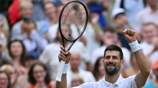 Djokovic wary despite Wimbledon form, dominant Sinner faces Dimitrov