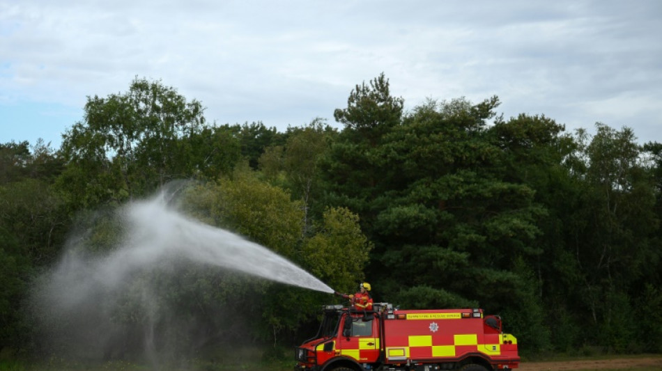 Aumentan los incendios forestales en Reino Unido en este periodo del año