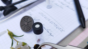 In Sardegna alla ricerca di microplastiche su fiori e insetti