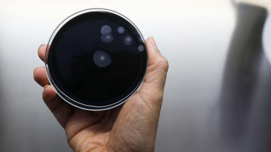 L'Iss in prima linea in Ue per il contrasto alla legionella