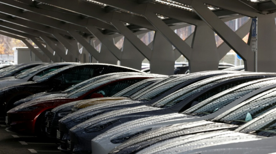 Tesla va cr&eacute;er 1.000 emplois d'ici fin juin dans son usine allemande