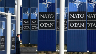 Detienen a una becaria de la OTAN bajo sospecha de espionaje