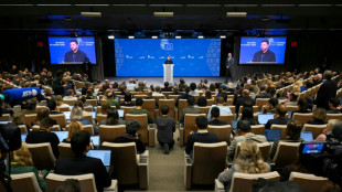 Diplomaten: EU-Gipfel macht ersten Schritt in Richtung Nutzung russischer Verm&ouml;gen f&uuml;r Kiew