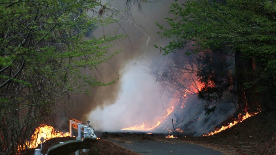 Japon: &eacute;vacuations dans le nord &agrave; cause de feux de for&ecirc;ts