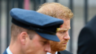 Le prince Harry &agrave; la t&eacute;l&eacute;vision pour d&eacute;fendre ses m&eacute;moires fracassantes sur la famille royale