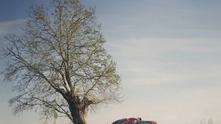 Hit Parade, Olly torna in vetta, Zucchero &egrave; quinto