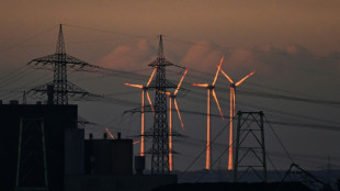 Stromsteuersenkung: Koalition&auml;re schieben sich Veranwortung zu