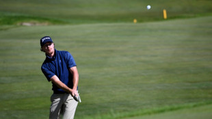 Linke fordert Bewässerungsverbot für Golfplätze