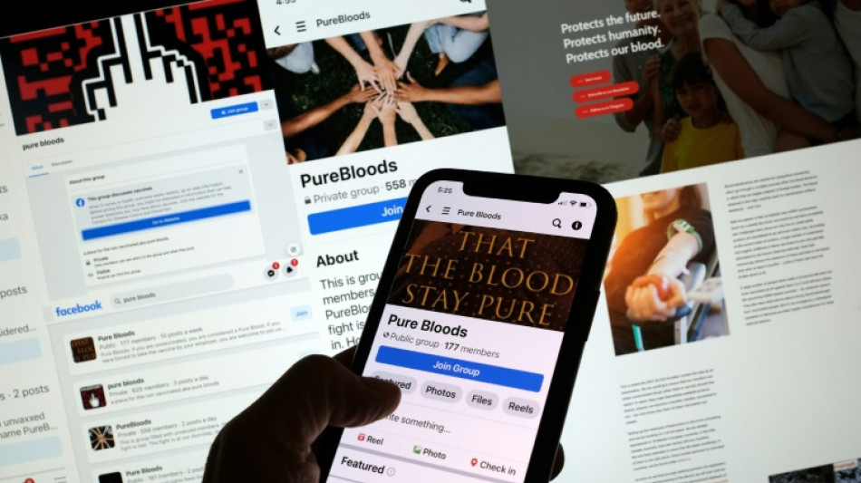 La desinformaci&oacute;n sobre las vacunas genera un movimiento de "sangre pura"