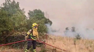 El incendio al norte de Madrid es "el m&aacute;s complejo" de la historia reciente de Espa&ntilde;a