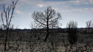 Spain heatwave was 'most intense on record'