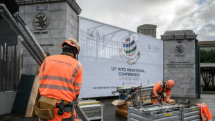 La reuni&oacute;n ministerial de la OMC se celebrar&aacute; en junio