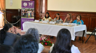 Cerca de 200 ativistas de DH foram mortas em 10 anos na Am&eacute;rica Central e no M&eacute;xico (relat&oacute;rio)