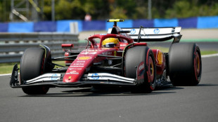 Ferrari boss confident 'frustrated' Hamilton will bounce back after Hungarian GP